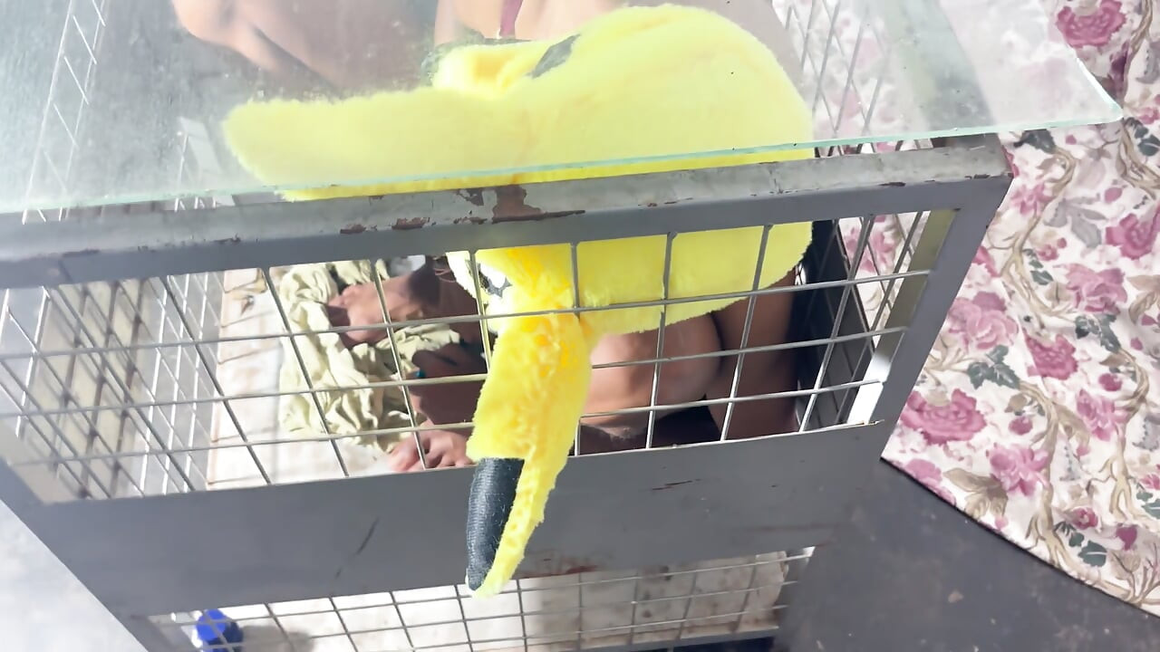 Svart trans tjej tsgigibaby cumshot