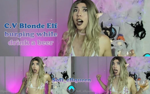 Lebenslauf, blonde elfe burscht