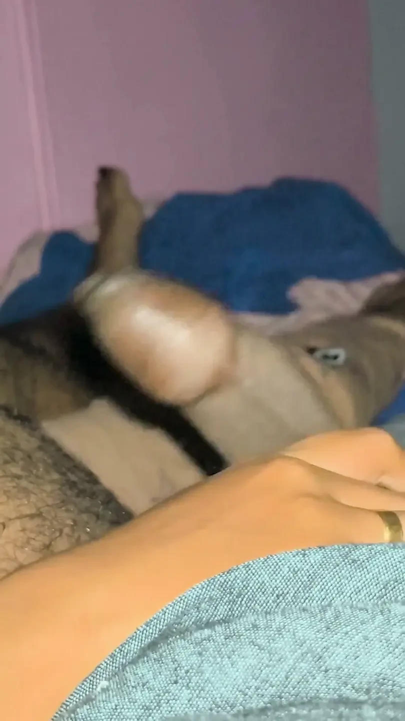 Big Cock Play Wife Playing with Big Cock Trying to Cum
