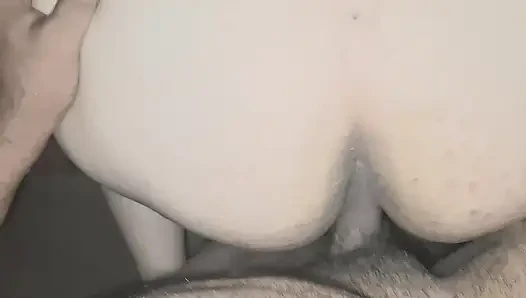 of a puppy