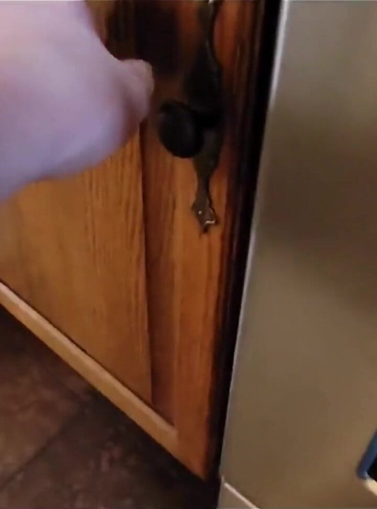 Step Son Surprises Stepmother with His Huge Rock Hard Teen Cock and Accidental Creampie on Mother's Day