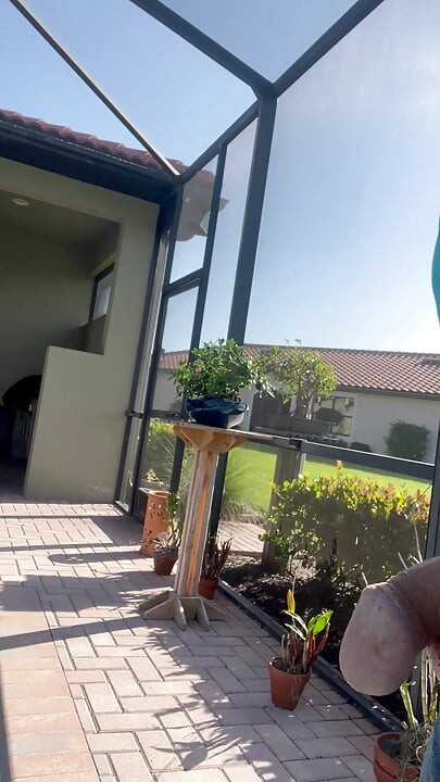 Exposing Myself To The Neighbors