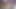 Amateur CD dildo action in fur part 2