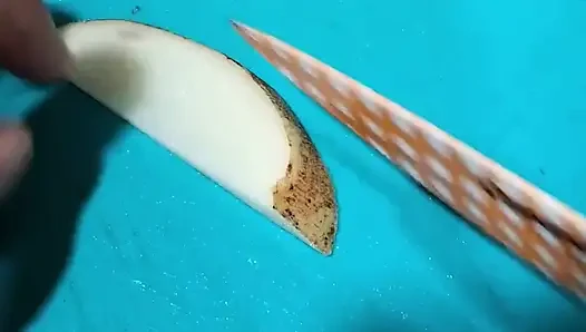 Büyük memeli yemek pişirelim bölüm 1