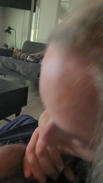 Pregled videozapisa