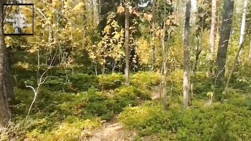 Nked Adventurer Goes to Forest