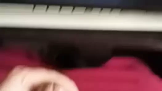 seemo