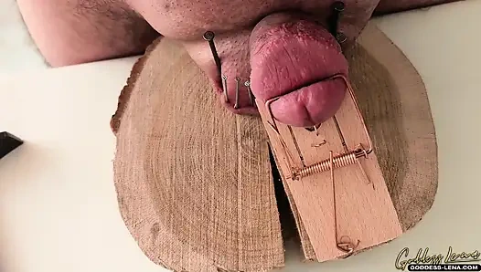 Acımasız kuyruk işkenceleri