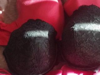 Wife's bras cummed on
