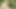 Ana Foxxx Fucks Kenna James with a Giant Green Dildo and They Cum Together, Wicked Porn Cosplay Parody