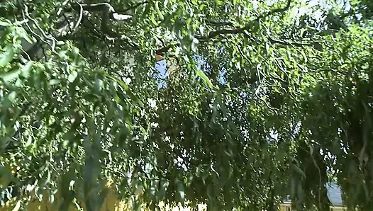 Ateşli Sarışın Komşu Oturma Odasında Sert Sikiliyor