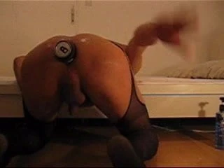 huge dildo and beer can in asshole