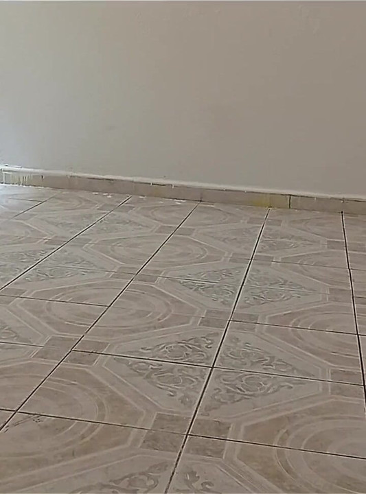 Damen som städar huset