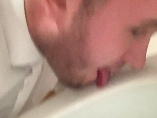 Fag lick toilet