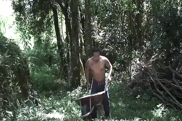 BRAZILIAN SHEMALE Vision from ROBERT HILL!!! - vol. #60