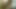 16 1-3 FUCKINGS BLACK GUYS SOLO MASTURBATION