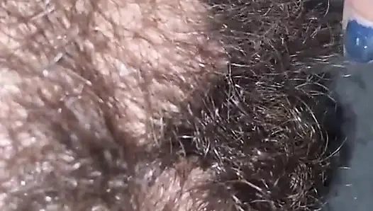 Hairy pussy closeup