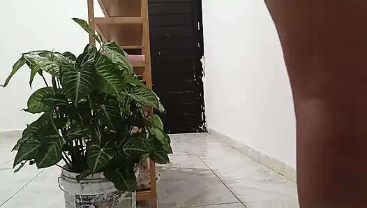 Tombul komşu yeni dairesini temizliyor
