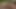Seksi Asyalı kadınlar açık havada grup sikiş sahnelerinde oral seks yapıyor - Japon yetişkin videosu!