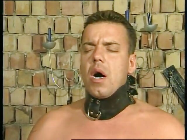 הפה שלי מזיין עבד