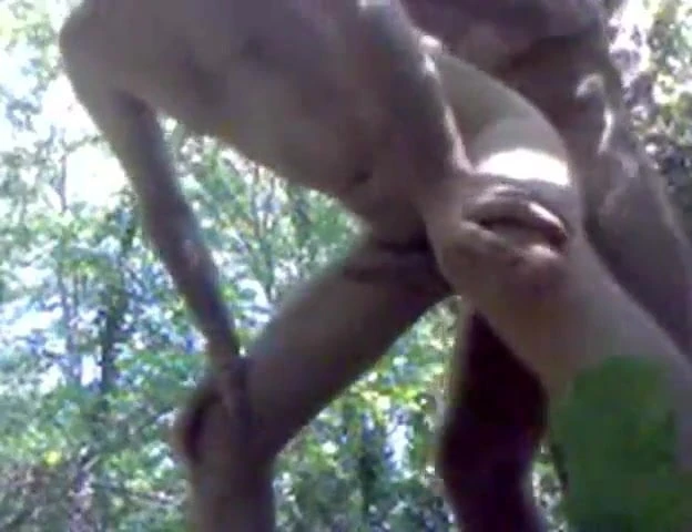 Outdoor Fuck, Wank & Cum