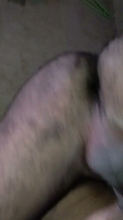 Husband wife full deshi sexy video | Clip 1