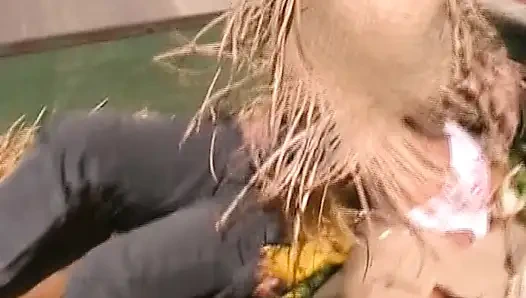 Bu Alman bebek kamyonda yarağını emmek istiyor