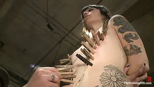 Day 2 February's Final 2 Slaves