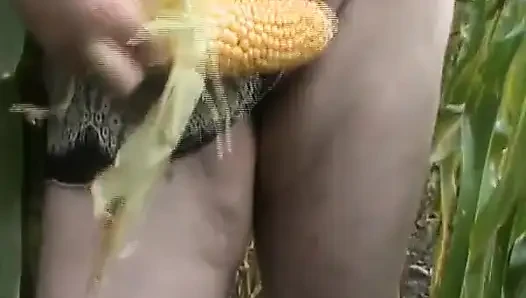 Tammara in the Corn Field