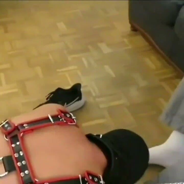 Enjoy This Amazing French Porn Amator Bareback with Dudes so Sexy