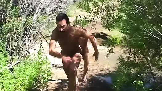 Когда петух прилетел на Марс...