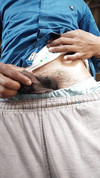 Pregled videozapisa