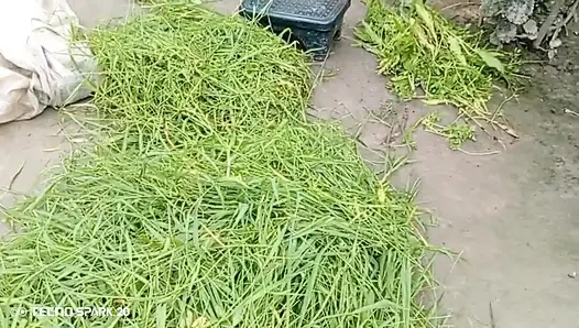 Secret Affair with My Sister-in-Law in the Backyard