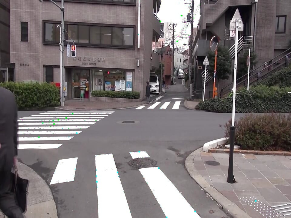 A095G05 ホームステイの黒人留学生の歪んだ愛！裏切りの快楽沼に堕ちる官能エロス！怒りの漆黒の肉棒！