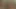 She showed me her boobs and I showed her my big black dick