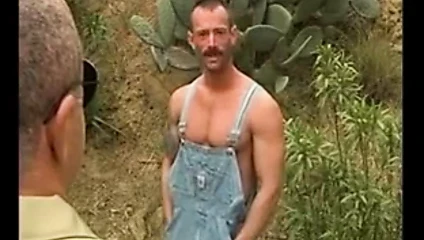 ormandaki ayılar