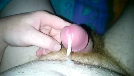 Kızıl çalı döl atıcı