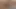 big cock bareback sex pigs