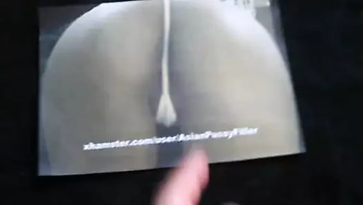 Asianpussyfiller için haraç videosu