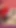 Lezbiyen latin orta yaşlı seksi kadın sarışın tarafından yalıyor ve oyuncağı