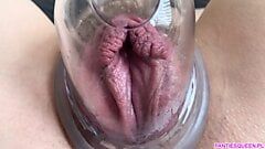 抽插多肉阴户的极端特写。阴毛浓密的湿润阴户想要舔阴