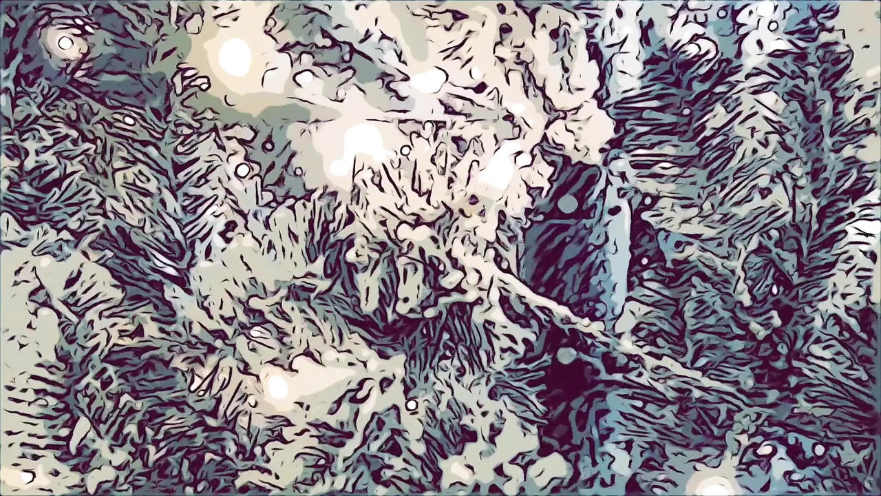 两个肥胖的女同性恋分享一根黑色的鸡巴并玩3P性爱！