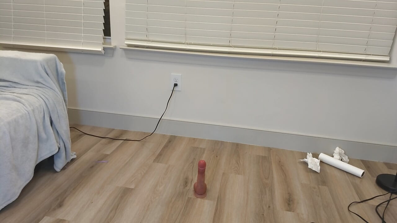 Vibrador e vibrador de cavalgada