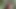 Yeni Iç Çamaşırlı Ve Sert Sikiş