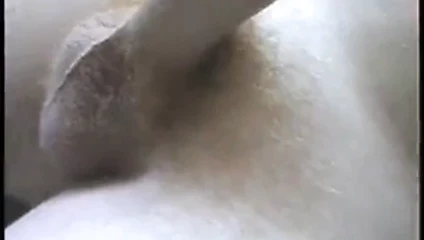 azgınım