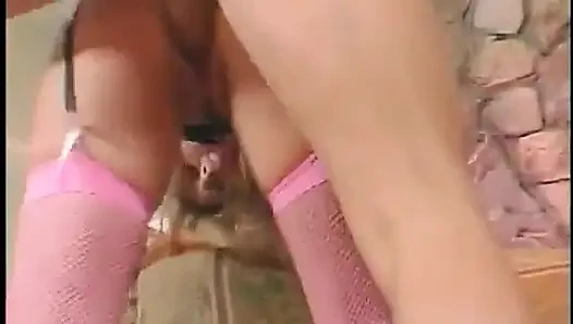 Pirang menunggangi dan mengisap kontol