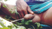 Pratinjau video