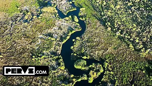 Bush avcısı Jason Florida bataklıklarında nadir bulunan tam çalı örneğini izliyor