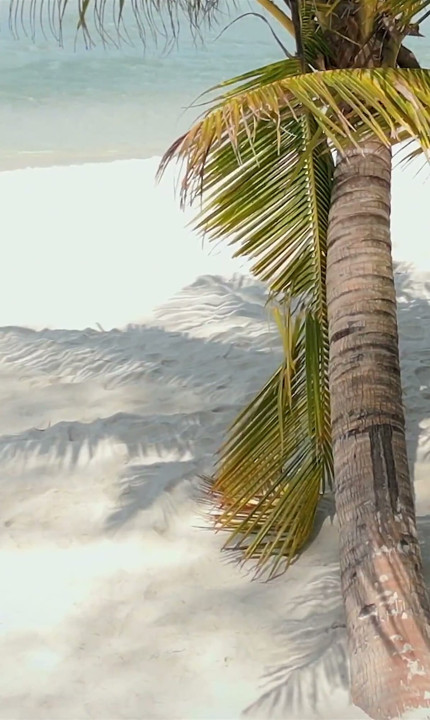 Risikabel blowjob på stranden – vi ble tatt!!