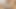 MINECRAFT SEX MOD STEVE FUCK ALEX - ANIMATION (BeltomNSFW)